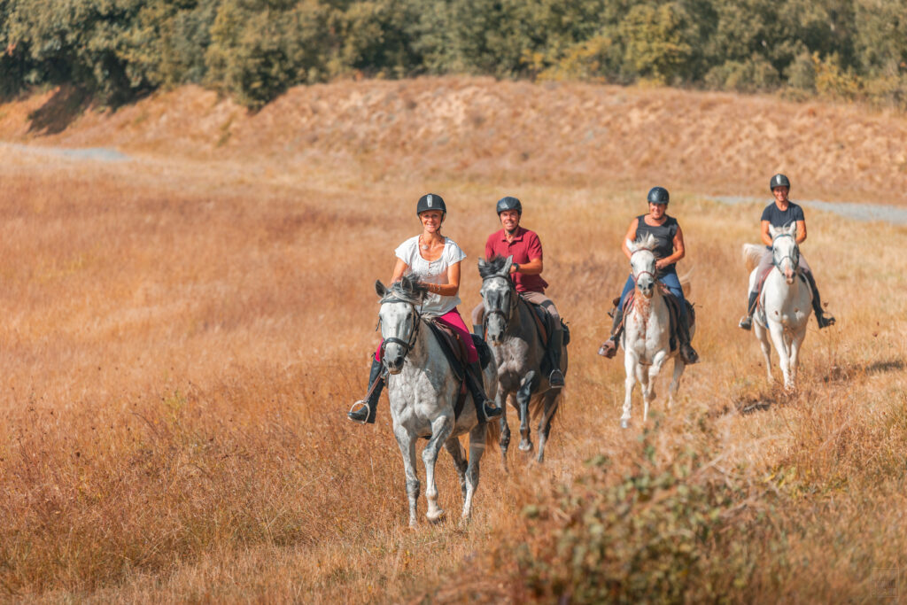 2023-09-route-artagnan-cheval-cavalier-trot-champ-by-vincent-photographie-adt-aude