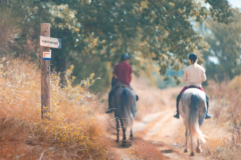 2023-09-route-artagnan-cheval-chemin-signaletique-by-vincent-photographie-adt-aude