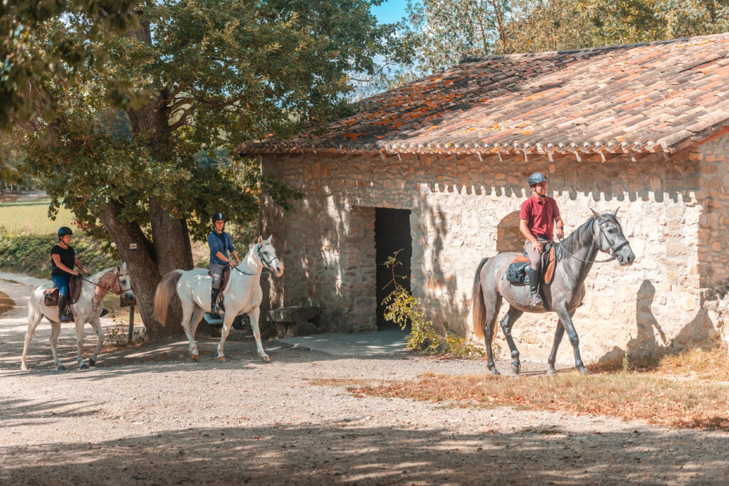 montreal-2023-09-route-artagnan-cheval-bergerie-chapitre-cavalier-by-vincent-photographie-adt-aude