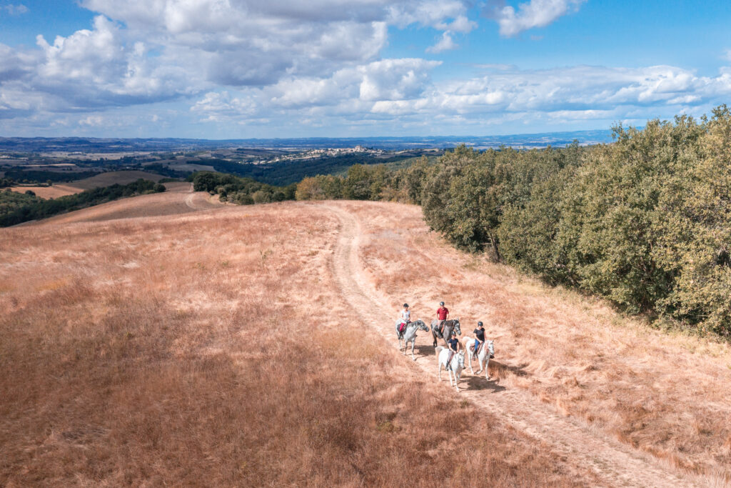 montreal-2023-09-route-artagnan-cheval-cavalier-chemin-champ-panorama-by-vincent-photographie-adt-aude-01