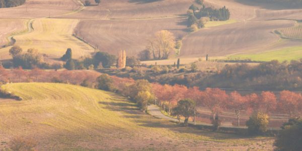 des_paysages_preserves