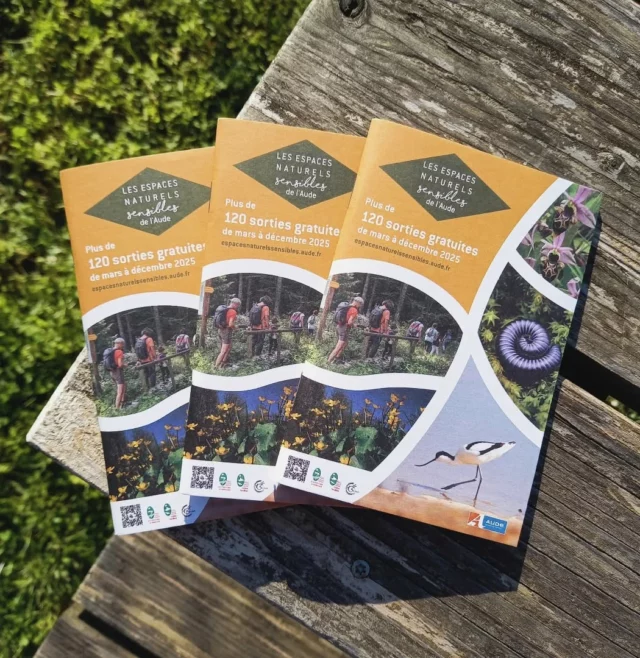 🌿 Le programme 2025 de découverte des espaces naturels sensibles du @departement_de_l_aude est disponible en format papier à l’Office de Tourisme Intercommunal "Au Cœur des Collines Cathares" (place du Treil à Fanjeaux) 📗🐜🦎🌸🌱🐾

Découvrez la faune et la flore de l’Aude à travers plus de 120 sorties gratuites et accompagnées !

ℹ️  Au mois de mai, plusieurs de ces sorties sont organisées sur le secteur Piège, Lauragais, Malepère. Nous vous invitons à consulter l'agenda des animations de notre site internet (lien en bio) pour en savoir plus.

#sortienature #nature #sortirdanslaude #sortirenfamille #aude #audetourisme #jaimelaude #occitanie #occitanietourisme