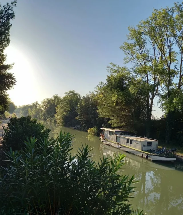 🌳🌿 La photo du jour... la quiétude du canal du Midi au niveau de l'écluse de Tréboul à Pexiora (11150) 📸

Le chemin de halage vous permet de vous promener paisiblement le long de ce joyau architectural du sud de la France. Sous la voûte de platanes, admirez les jolies péniches qui glissent sur l’eau, les ponts en pierre et les maisons éclusières chargées d'Histoire. 💚⚓

#canaldumidi #balade #éclusedeTréboul #Pexiora #aude #audetourisme #jaimelaude #occitanie #occitanietourisme #patrimoine #unesco #sortirdanslaude #suddelafrance #southoffrance