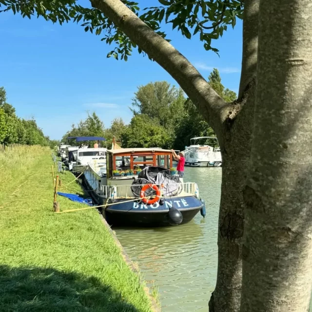 📸 La photo du jour... Une jolie péniche amarrée au port de Bram 🛥⚓☀️

#péniche #canaldumidi #portdebram #Bram #aude #audetourisme #jaimelaude #occitanie #occitanietourisme #occitanie #occitanietourisme #sudouest #suddelafrance #southoffrance 
#Repost @villedebram