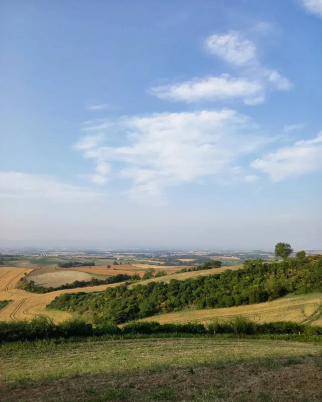 🌞🌾🌼👍 De jolies vues depuis le Chemin du Tramway à Fanjeaux !

📍Départ : devant l'Office de Tourisme Intercommunal (place du Treil 11270 Fanjeaux) | Distance : 3 km | ⌚️ Durée approximative : 45 min. | Niveau : Très facile | Balisage : Vert 🟩

#balade #promenade #paysages #Piège #Lauragais #collinescathares #Fanjeaux #campagne #Aude
#jaimelaude #audetourisme #occitanie #occitanietourisme #randonnée #sudouest
#suddelafrance