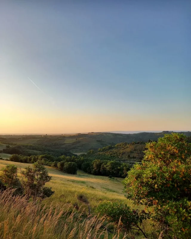 🌞🌾 L’été est déjà bien présent sur la boucle de la "Fount Picou". 💛

Départ sur la place du Treil (Fanjeaux) | 🥾 Distance : 6km | ⌚️ Durée approximative : 1h30 | Niveau : Facile | Balisage : Bleu 🟦

ℹ️  Vous retrouverez ce sentier sur la carte réunissant de nombreux circuits à réaliser au cœur des collines cathares...
Gratuite, cette carte est disponible dans notre office de tourisme et téléchargeable sur notre site Internet : www.collinescathares.com (lien en bio).

Tous nos itinéraires sont également référencés sur les applis Visorando, IGN Rando' et Cirkwi. 📲

#randonnée #Rando #hiking #sunnyday #été #collinescathares #Fanjeaux #aude #audetourisme #jaimelaude #occitanie #occitanietourisme #sudouest #suddelafrance