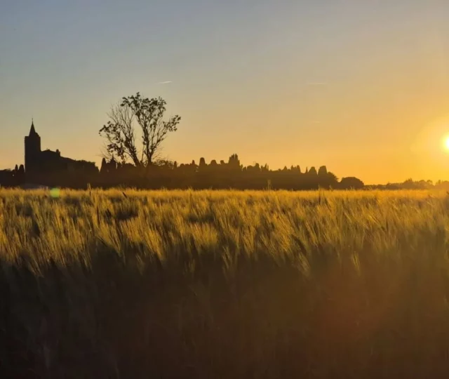 📸🌄 La photo du jour... coucher de soleil sur la campagne pexioranaise, par @morceauxdevie11 👍

#repost #Pexiora #coucherdesoleil #sunset #village #campagne #campagneaudoise #aude #jaimelaude #audetourisme #occitanie #occitanietourisme #sudouest #suddelafrance