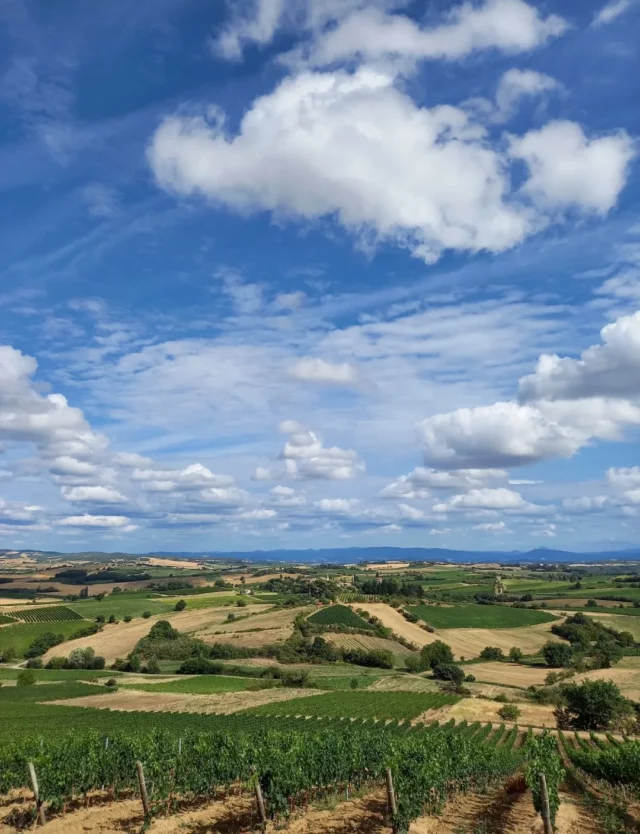 📸 La photo du jour... Un aperçu sur le village de Brézilhac depuis le GR78 🥾 (Chemin du Piémont Pyrénéen vers Compostelle).

Pour découvrir cet itinéraire, on vous donne rendez-vous sur notre site internet : www.collinescathares.com (lien en bio). 😉

#GR78 #chemindecompostelle #randonnée #randonnéeitinérante #Brézilhac #collinescathares #Aude #jaimelaude #audetourisme #occitanie #occitanietourisme #sudouest #suddelafrance