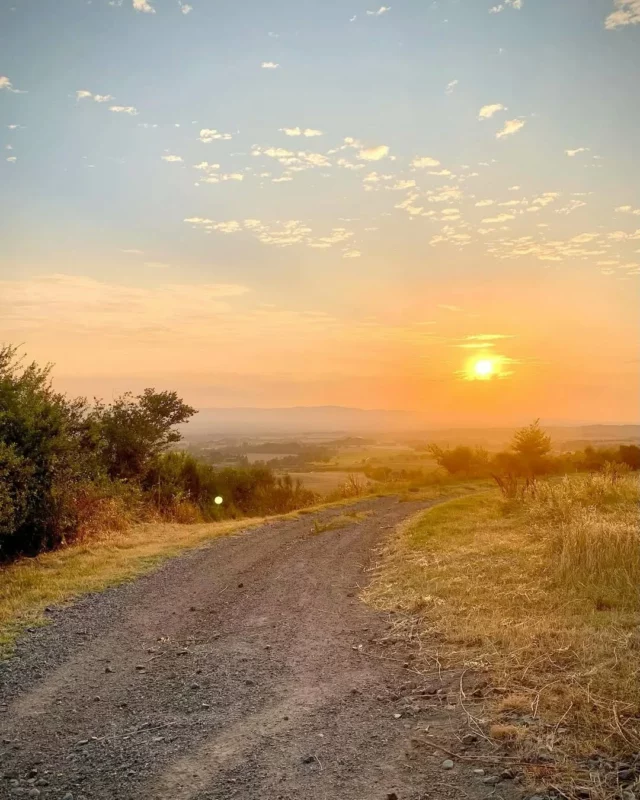 😍🌄 Summertime...
📍 Fanjeaux (Aude)

Envie de nature et de panoramas à couper le souffle ?
Les sentiers autour de Fanjeaux vous attendent ! Entre champs de tournesols, collines et vues sur les Pyrénées, chaque randonnée est une bouffée d’air pur. 🥾🌿🌻🐑

À découvrir sans modération ! Plus d'infos sur notre site internet : www.collinescathares.com (lien en bio)

Photos par @lesdeuxpetitspois 👏📸

#Fanjeaux #Randonnée #hiking #NatureOccitane #Balade #collinescathares #jaimelaude #audetourisme #Aude #occitanie #voyageoccitanie #occitanietourisme #suddelafrance #southoffrance