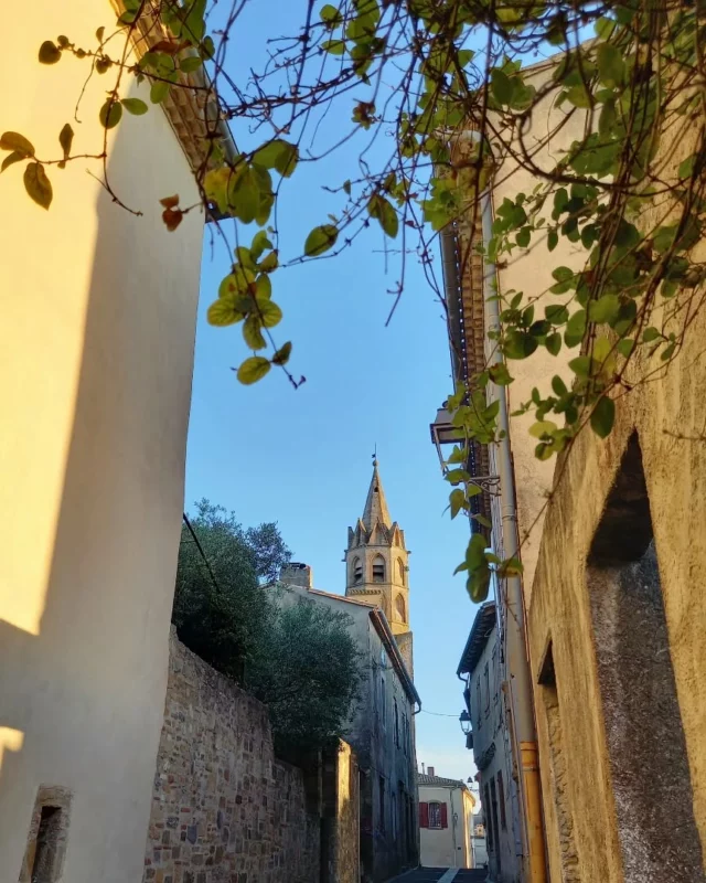 📸 La photo du jour... Le clocher flèche de l'église Notre-Dame de l'Assomption (à Fanjeaux) profitant des premiers rayons de soleil de la journée. ☀️⛪

ℹ En juillet et en août, l'église peut être visitée tous les jours de 15h à 18h.

#église #édifice #clocher #Patrimoine #patrimoinedelaude #village #Fanjeaux #aude #audetourisme #jaimelaude #occitanie #occitanietourisme #voyageoccitanie #sudouest #suddelafrance #heritage #southoffrance
Photo : OTI Au Cœur des Collines Cathares