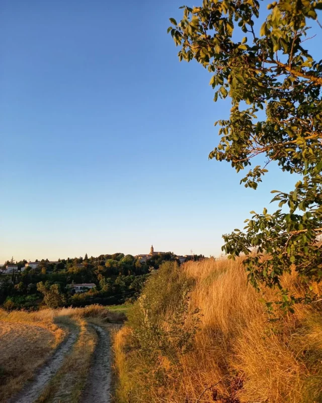 📸 La photo du jour... Une vue sur la cité médiévale de Fanjeaux, depuis un sentier bordé de noyers. 😍☀️🌿

#Fanjeaux #sunnyday #promenade #citémédiévale #VillageAuthentique #paysage #landscape #collinescathares #Aude #audetourisme #jaimelaude #audepayscathare #occitanie #occitanietourisme #sudouest #suddelafrance #southoffrance