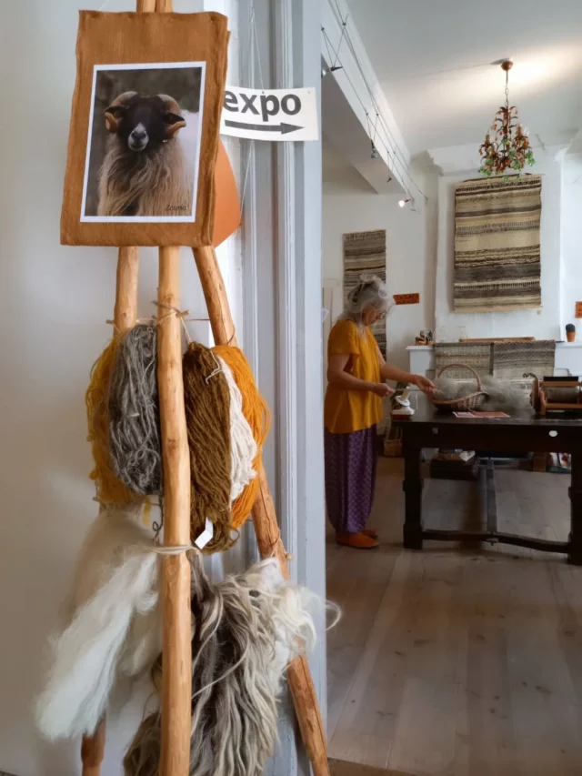 🪡 𝐄𝐱𝐩𝐨𝐬𝐢𝐭𝐢𝐨𝐧𝐬 𝐭𝐞𝐱𝐭𝐢𝐥𝐞𝐬 😍🧵

Durant la saison estivale, l'association "de Soie, d'Or et d'Argent" vous propose plusieurs expositions et des ateliers. Chaque semaine, à la Maison Gramont (à Fanjeaux), découvrez les œuvres d'un artiste textile d'excellence :

🔹️ Du jeudi 31 juillet au dimanche 03 août, de 15h à 18h30 : Gloria Albistur (en photos !)
🔹️ Du jeudi 07 au dimanche 10 août, de 15h à 18h30 : Corinne Bertheas 
🔹️ Du jeudi 14 au dimanche 24 août, de 15h à 18h30 : Nicolas Jover et Yannick Delplace

Le programme détaillé des ateliers et toutes les infos sur le compte Instagram de l'association : @soa_artisanat

📍  Maison Gramont, place des halles (11270 Fanjeaux). Entrée libre.

#art #arttextile #exposition #exhibition #fanjeaux #aude #audetourisme #occitanie #occitanietourisme #sudouest #southoffrance #collinescathares