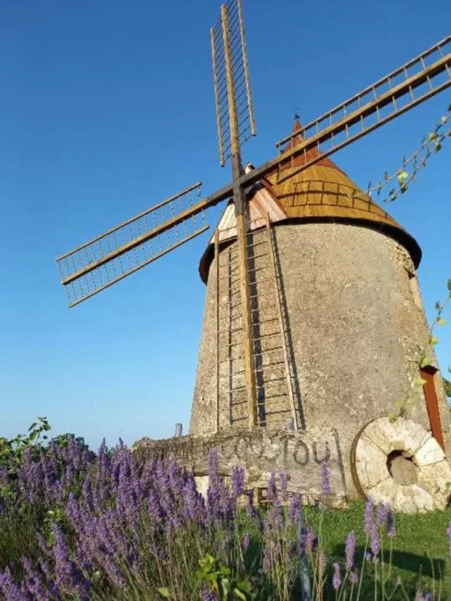 📸 La photo de la semaine... Le joli moulin à vent du Coustou, à Ribouisse. 😍

#moulin #Ribouisse #moulinavent #Patrimoine  #patrimoinedelaude #collinescathares #aude #audetourisme #occitanie #occitanietourisme