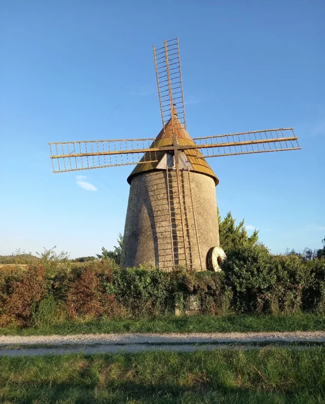 🌾🌬 Fier et solitaire, le moulin de Ribouisse est prêt à affronter le souffle du vent d'Autan. 📸

#photodujour #photooftheday #moulin #windmill #moulinavent #moulinfarinier #Ribouisse #Lauragais #aude #audetourisme #jaimelaude #occitanie #occitanietourisme #suddelafrance