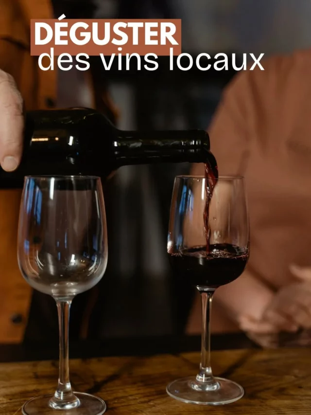 🤗🌫️ 𝐋𝐞𝐬 𝐂𝐨𝐥𝐥𝐢𝐧𝐞𝐬 𝐂𝐚𝐭𝐡𝐚𝐫𝐞𝐬 𝐞𝐧 𝐡𝐢𝐯𝐞𝐫 !

Quelques idées d'activités pour agrémenter votre séjour et profiter de la saison des pulls :

1/ Faire une dégustation chez l'un des vignerons du territoire 🍷

2/ Découvrir la superbe cité de Fanjeaux et son parcours sculptural ⛪️

3/ Admirer l'exposition "de l'usage du monde" aux Essarts, espace arts et cultures de Bram ➡️ @essarts.bram.fr

4/ Savourer un cassoulet 🍲

5/ Randonner sur les hauteurs de Laurac pour profiter du calme de l'hiver 🥾 

Toutes les infos sur notre site internet 👉 www.collinescathares.com (lien en bio)

#collinescathares #hiver #aude #audetourisme #occitanie