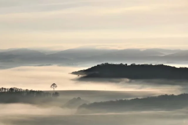 📸 Quand une mer de brume caressait les collines cathares au milieu de l'hiver 🌫💙

Janvier 2023, point de vue du Seignadou, à Fanjeaux (11270)

👉 www.collinescathares.com (lien en bio !)

#paysage #Fanjeaux #collinescathares #Aude #Occitanie