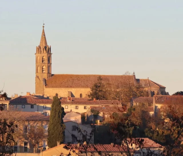 📸😍 𝐋𝐚 𝐩𝐡𝐨𝐭𝐨 𝐝𝐮 𝐝𝐢𝐦𝐚𝐧𝐜𝐡𝐞 !

Une jolie vue sur l'église de style gothique languedocien Notre-Dame-de-l'Assomption à Fanjeaux. ⛪️ 

Audioguides et brochures de visite disponibles dans votre Office de Tourisme Intercommunal  ℹ (6 place du Treil, FANJEAUX) 😉

👉 www.collinescathares.com (lien en bio)

#Fanjeaux #collinescathares #Aude #audetourisme #occitanie @audetourisme @voyageoccitanie