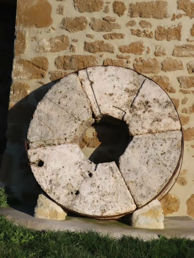 🌾🌬 Perché sur sa colline, le Moulin à vent de Plavilla offre une jolie vue sur la campagne audoise. 💛

Ce moulin est l’un des spots du sentier thématique « La campagne d’aujourd’hui et d’hier », au départ de Plavilla.
🥾 12,4 km
⏳ Environ 3h de marche
🟦 Balisage bleu

Retrouvez cette boucle de randonnée sur les applications WeTrek, Visorando et Cirkwi ainsi que sur le site internet de l'Office de Tourisme Intercommunal (lien en bio).

#Plavilla #moulinavent #Randonnée #Aude #collinescathares @audetourisme @voyageoccitanie
