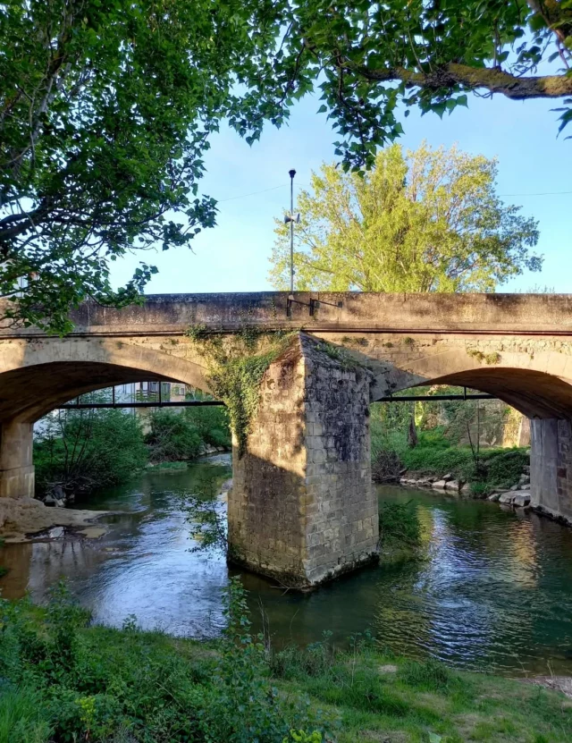 🌿💧 Les berges de la Vixiège à Belpech, bercées par le murmure de l’eau… 

Le pont qui enjambe la rivière devient un trait d’union entre nature et regard artistique... Sur un mur, la grande photo "Les mains de la terre" signée Marie Hyvernaud s’invite dans le paysage. 
Un décor déjà prêt pour accueillir très bientôt la 13ème édition du @festivalcheminsphotos ! 📸

#Belpech #Vixiège #festivalphotos #photographie #collinescathares @audetourisme @voyageoccitanie