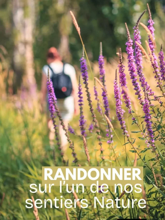 😄🌞 𝗘𝗻 𝘃𝗮𝗰𝗮𝗻𝗰𝗲𝘀 ? 𝗩𝗼𝗶𝗰𝗶 𝟲 𝗶𝗱𝗲́𝗲𝘀 𝗱’𝗮𝗰𝘁𝗶𝘃𝗶𝘁𝗲́𝘀 𝗮̀ 𝗿𝗲́𝗮𝗹𝗶𝘀𝗲𝗿 𝗱𝗮𝗻𝘀 𝗹𝗲𝘀 𝗰𝗼𝗹𝗹𝗶𝗻𝗲𝘀 𝗰𝗮𝘁𝗵𝗮𝗿𝗲𝘀 𝗽𝗼𝘂𝗿 𝗽𝗿𝗼𝗳𝗶𝘁𝗲𝗿 𝗱𝗲𝘀 𝗯𝗲𝗹𝗹𝗲𝘀 𝗷𝗼𝘂𝗿𝗻𝗲́𝗲𝘀 𝗽𝗿𝗶𝗻𝘁𝗮𝗻𝗶𝗲̀𝗿𝗲𝘀 :

  1/ Randonner sur nos jolis sentiers 🥾

  2/ Mener l'enquête dans la cité médiévale de Fanjeaux. 🕵️‍♀️ Le livret jeu "Fanjeaux et le Mystérieux sortilège" est disponible à l'Office de Tourisme Intercommunal (à Fanjeaux) au prix de 3€ pour les enfants de 7 à 12 ans.

  3/ Se promener à cheval ou à poney dans les collines de la Piège 🐴 La ferme équestre « Chevaux au vent » propose de nombreuses activités durant les  vacances

  4/ Au lac de Buzerens, tester les multiples activités nautiques proposées par le @teleskinautiquebram (ouvert tous les jours de 14h à 20h) 🏄 et se restaurer sur place.

  5/ Découvrir l'exceptionnelle exposition "Les Gestes en Élégance" de Pierre Armengaud, aux Essarts, espace arts et cultures de Bram. 🏉Ouverture au public du mercredi au dimanche de 14h à 18h. Entrée gratuite. 👉 @essarts.bram.fr

  6/ Parcourir la Voie Verte « du canal du Midi à Montségur » à vélo 🚴‍♀️

ℹ N'hésitez pas à nous contacter pour plus d'informations : tourisme@ccplm.fr

#collinescathares #sortirdanslaude #sortirenfamille #aude @audetourisme #occitanie @voyageoccitanie 

Crédits photos : Vincent Photographie/PETR Pays Lauragais (photos 1 et 4)