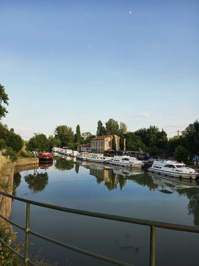 📸⚓Le port de Bram (11150)

Point de départ d’une magnifique voie verte cyclable permettant de se rendre jusqu'en Ariège, c’est aussi l’endroit idéal pour une balade à pied ou en vélo sur le chemin de halage, à l’ombre des platanes du canal du Midi. 🚴🌿🥾

Et pour prolonger le moment, une pause sur la belle terrasse du restaurant s’impose 🍦🍴☀️

#CanalDuMidi #Bram #VoieVerte #Occitanie #audetourisme @audetourisme @voyageoccitanie