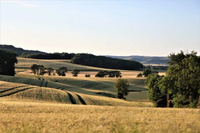 📸🌾 𝗟𝗲𝘀 𝗰𝗵𝗮𝗺𝗽𝘀 𝗱𝗲 𝗯𝗹𝗲́ 𝗱𝗲 𝗹𝗮 𝗣𝗶𝗲̀𝗴𝗲

En fin de journée, parcourez les nombreux sentiers de randonnée pédestre et VTT dans les sublimes collines de la Piège 🥾🚵

ℹ️ Topos et cartes disponibles sur notre site internet : collinescathares.com (lien en bio)

#collinescathares #Aude #randonnée #VTT #occitanie @audetourisme @voyageoccitanie