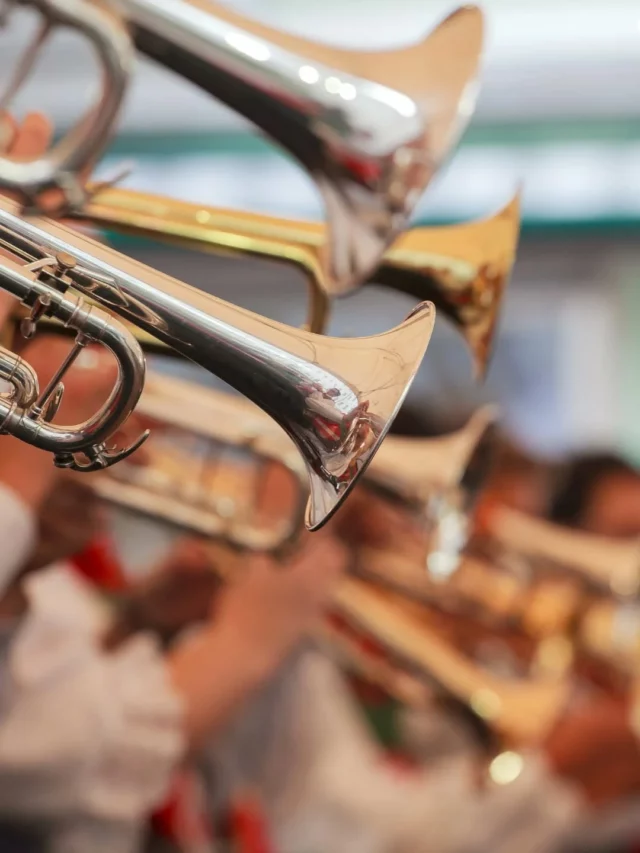 🎺🎉 𝗝-𝟳 𝗮𝘃𝗮𝗻𝘁 𝗹𝗮 𝟮𝟯ᵉ 𝗲́𝗱𝗶𝘁𝗶𝗼𝗻 𝗱𝘂 𝗙𝗲𝘀𝘁𝗶𝘃𝗮𝗹 𝗱𝗲 𝗕𝗮𝗻𝗱𝗮𝘀 𝗲𝗻 𝗠𝗮𝗹𝗲𝗽𝗲̀𝗿𝗲 

Préparez-vous pour un week-end festif à Montréal de l’Aude les 12 et 13 juin 2026 !

Au programme :
🥁 9 bandas et/ou groupes prêts à vous faire vibrer tout le week-end
🎶 Un groupe guest qui va mettre le feu à la scène
🎧 Les célèbres Frères Rays viendront aussi endiabler le festival
🍻 3 bodegas
🍔 Un grand stand de restauration rapide, gourmand et accessible à tous
🛍️ Une boutique officielle pour être aux couleurs du festival… et peut-être devenir le plus beau festivalier
🎺 Une superbe fanfare class, animée par le parrain de cette 23e édition du festival, Jérôme Capdepont.

Un moment de fête et de convivialité en perspective 🎶😄🎺🍻On vous attend nombreux !

Toutes les infos pratiques ➡️ @bandasenmalepere

#festivalbandasenMalepère #bandas #Aude @audetourisme #occitanie @voyageoccitanie #collinescathares