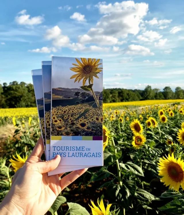 🔆 Nouvelle carte, nouvelles aventures !

Votre meilleure alliée pour explorer le Pays Lauragais ? La carte touristique ! Pratique et complète, elle vous dévoile les trésors parfois cachés de ce grand territoire : villages perchés, chemins de randonnée, sites remarquables... 🚣🌻🥾⛪

Cet été, n’hésitez pas à venir la récupérer dans l’un de nos 3 bureaux d’information (Fanjeaux, Bram ou Montréal) … et à en profiter pour échanger avec Coralie, Marion, Marin, Sandra ou Lucas.
Au plaisir de vous accueillir très bientôt ! 🤗

En attendant, vous pouvez aussi la télécharger sur notre site internet (lien en bio) dans l'entrée "Brochures".

➡️ Ce document est le fruit d’une collaboration entre le PETR du Pays Lauragais et les 4 offices de tourisme intercommunaux qui le composent : Aux Sources du canal du Midi, Lauragais Tourisme, Castelnaudary Tourisme et le nôtre.

#PaysLauragais #cartetouristique
#Lauragais #Tourisme #sudouest