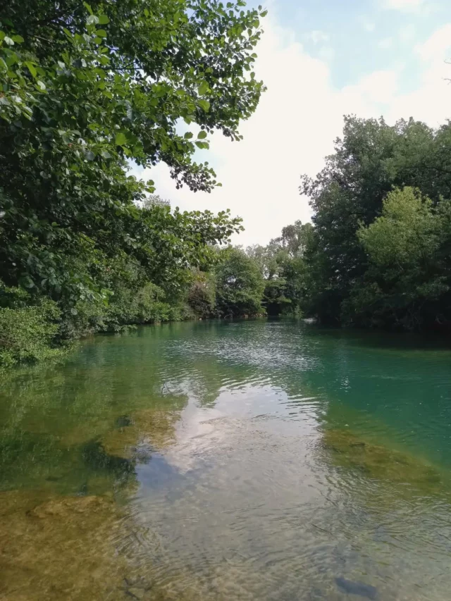 🌿📸 L'Hers-Vif à Belpech, dans l'ouest de l'Aude 

Parcourez cette belle rivière lors d'une descente en canoë proposée par @atalaya.canoe ! 🚣🚣‍♀️☀️

#hersvif #nature #canoë #belpech #audetourisme @audetourisme @voyageoccitanie