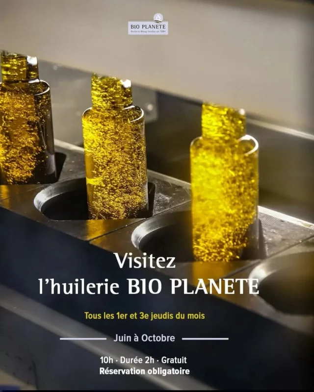 🫒🌻 𝗩𝗶𝘀𝗶𝘁𝗲𝘇 𝗹'𝗵𝘂𝗶𝗹𝗲𝗿𝗶𝗲 𝗠𝗼𝗼𝗴 𝗮̀ 𝗕𝗿𝗮𝗺 ! 

Envie de comprendre ce qu'il y a vraiment dans votre huile ? Venez découvrir les coulisses de BIO PLANETE, huilerie bio implantée à Bram.

Tous les 1er et 3ème jeudis du mois, une visite guidée gratuite (sur réservation) vous ouvre les portes de la production, suivie d'une dégustation pour affiner vos sens et vos papilles. 
L'aventure se termine par la boutique pour retrouver l'ensemble de la gamme.

🗓️👉 Réservez votre visite : https://www.bioplanete.bio/visites/ (Prochain rendez-vous le jeudi 06 août).

#Bram #collinescathares #visitentreprise #savoirfaire #huilerie @audetourisme @voyageoccitanie