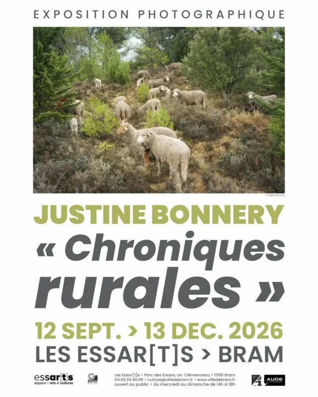 📸 Exposition : Du 12 septembre au 13 décembre 2026, les Essarts, espace arts et cultures de Bram mettent à l'honneur les photographies et reportages de Justine Bonnery sur l’élevage et les campagnes d’Occitanie, à travers l'exposition "Chroniques Rurales". 

Journaliste agricole pour la presse spécialisée et photojournaliste membre de l’agence Hans Lucas, Justine Bonnery consacre depuis plusieurs années son travail au monde agricole et rural.

Originaire de la Piège, elle parcourt les campagnes d’Occitanie à la rencontre des femmes et des hommes qui vivent de la terre et de l’élevage. Ses reportages, réalisés pour des titres spécialisés tels que PorcMag, Pâtre, Paysan du midi... témoignent de la diversité des agricultures, des savoir-faire et des territoires. 🚜👨‍🌾🐑

En tant que journaliste indépendante, elle propose aux rédactions des sujets nés de ses rencontres et de ses découvertes : initiatives locales, pratiques innovantes, adaptation au changement climatique, transmission des fermes ou encore nouvelles façons de produire et de vivre à la campagne.

À travers cette exposition, elle livre un regard sensible et documentaire sur un univers parfois méconnu. Les photographies présentées sont issues de reportages dans les fermes réalisés au fil des années. Elles racontent le quotidien des éleveurs et des agriculteurs, leurs gestes, leur relation aux animaux, les paysages façonnés par l’activité agricole et les liens profonds qui unissent les villageois à leur terre.

Un condensé de chroniques rurales, entre témoignage journalistique et regard photographique.

➡️ Exposition visible aux @essarts.bram.fr | Entrée libre et gratuite | Ouverture au public du mercredi du dimanche de 14h à 18h.

#Exposition #ExpositionPhoto #Bram #CollinesCathares #ruralité @audetourisme @voyageoccitanie