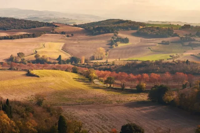 🍂 L’automne, c’est la saison des randonneurs et des amoureux du plein air ! 🥾

En Piège Lauragais Malepère, il y en a pour tous les goûts et tous les niveaux : rando itinérante sur plusieurs jours, circuits VTT, promenade au bord du canal du Midi, parcours d’orientation, petites boucles familiales (de 45min à 3h30 de marche)…🍁🐾🦔

Toutes les infos (fiches, cartes, traces GPX) sur notre site internet 👉 https://collinescathares.com/nature/ (lien en bio)

#automne #randonnée #VTT #collinescathares #aude @audetourisme @voyageoccitanie 
Photo réalisée au point de vue du Seignadou à Fanjeaux (11270) : Vincent Photographie / ADT de l'Aude