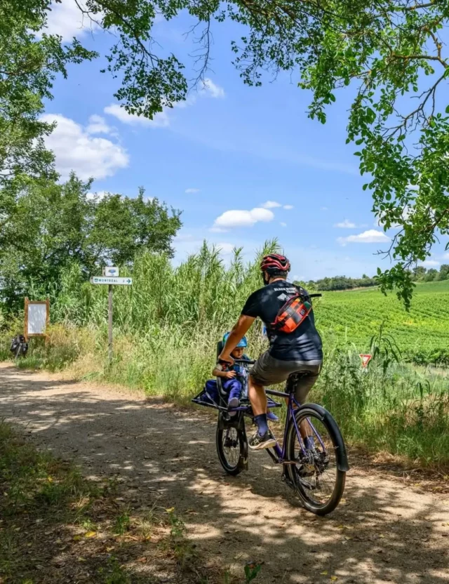 🚴 𝗘𝘁 𝘀𝗶 𝘃𝗼𝘂𝘀 𝗽𝗮𝗿𝘁𝗶𝗲𝘇 𝗲𝗻 𝗳𝗮𝗺𝗶𝗹𝗹𝗲 𝗮̀ 𝗹𝗮 𝗱𝗲́𝗰𝗼𝘂𝘃𝗲𝗿𝘁𝗲 𝗱𝗲𝘀 𝗖𝗼𝗹𝗹𝗶𝗻𝗲𝘀 𝗖𝗮𝘁𝗵𝗮𝗿𝗲𝘀… 𝗮̀ 𝘃𝗲́𝗹𝗼 ? 

Grande nouveauté ! ✨ Notre équipe a imaginé et créé un réseau de 12 boucles cyclotouristiques (tous niveaux) sur des routes à faible circulation, représentant plus de 600 km d’itinéraires à explorer en toute liberté !

Pendant les vacances de la Toussaint ou les weekends de novembre, parcourez en famille la boucle "Du canal du Midi vers la Malepère" :

🚲 Partez pour une escapade à vélo entre Montréal de l'Aude et Bram, en associant deux itinéraires emblématiques : le canal du Midi, classé à l’UNESCO, et la Voie Verte du canal du Midi à Montségur.

🌳 Pédalez à l’ombre des platanes, profitez des paysages du Lauragais et terminez votre balade par la découverte du patrimoine de Montréal, notamment sa collégiale Saint-Vincent.

📍 Distance : 24,9 km | 160 m de dénivelé positif | Départ devant le Bureau d'Information Touristique de Montréal (Place de la République, 11290 Montréal)

⚠️ Prudence sur la portion du pont de Villesiscle (voie partagée avec les voitures) et lors de la montée assez raide vers Montréal.

📲 𝗦𝗰𝗮𝗻𝗻𝗲𝘇 𝗹𝗲 𝗤𝗥 𝗖𝗼𝗱𝗲 𝘀𝘂𝗿 𝗹𝗲 𝘃𝗶𝘀𝘂𝗲𝗹 𝗰𝗶-𝗱𝗲𝘀𝘀𝗼𝘂𝘀 𝗽𝗼𝘂𝗿 𝗱𝗲́𝗰𝗼𝘂𝘃𝗿𝗶𝗿 𝗹𝗲𝘀 𝟭𝟮 𝗯𝗼𝘂𝗰𝗹𝗲𝘀 𝗲𝘁 𝗽𝗿𝗲́𝗽𝗮𝗿𝗲𝗿 𝘃𝗼𝘁𝗿𝗲 𝗽𝗿𝗼𝗰𝗵𝗮𝗶𝗻𝗲 𝘀𝗼𝗿𝘁𝗶𝗲 !
Plus d'infos : 🔗👉 https://collinescathares.com/nature/echappees-a-velo/

#canalduMidi #Bram #Montréal #VoieVerte #collinescathares @audetourisme @voyageoccitanie 
Photos : Marin Rives Ferrer / Collines Cathares Tourisme